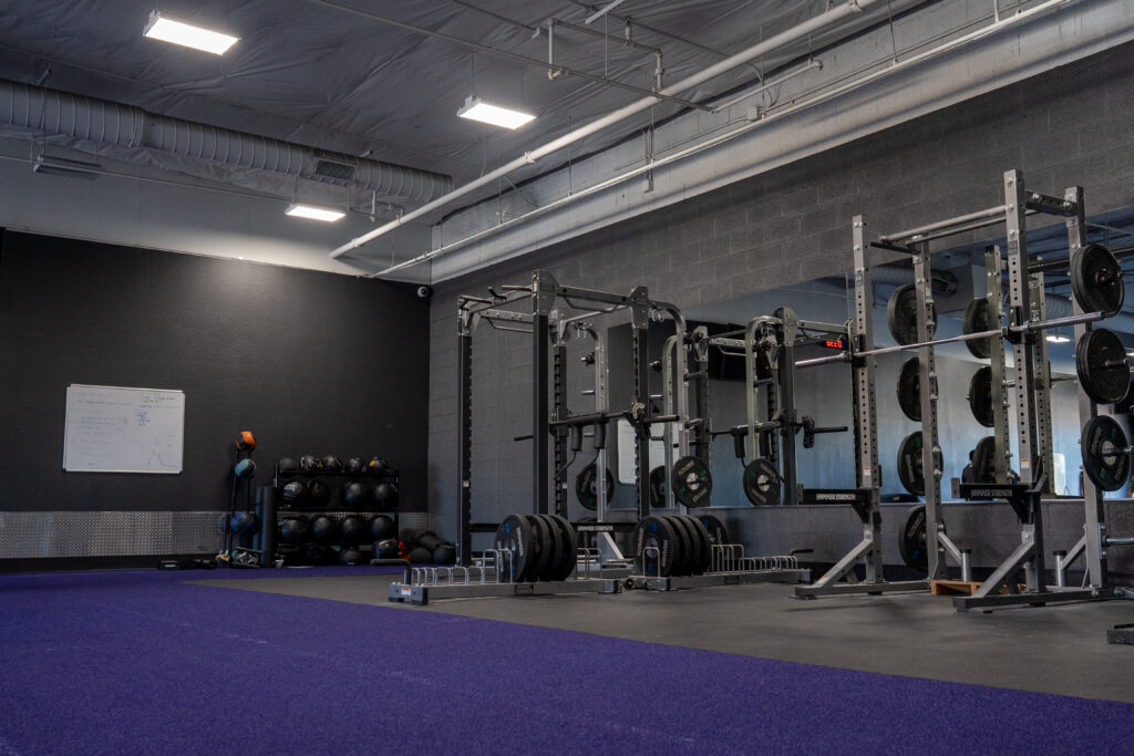 Turf open space free weights platforms gym phoenix 24/7